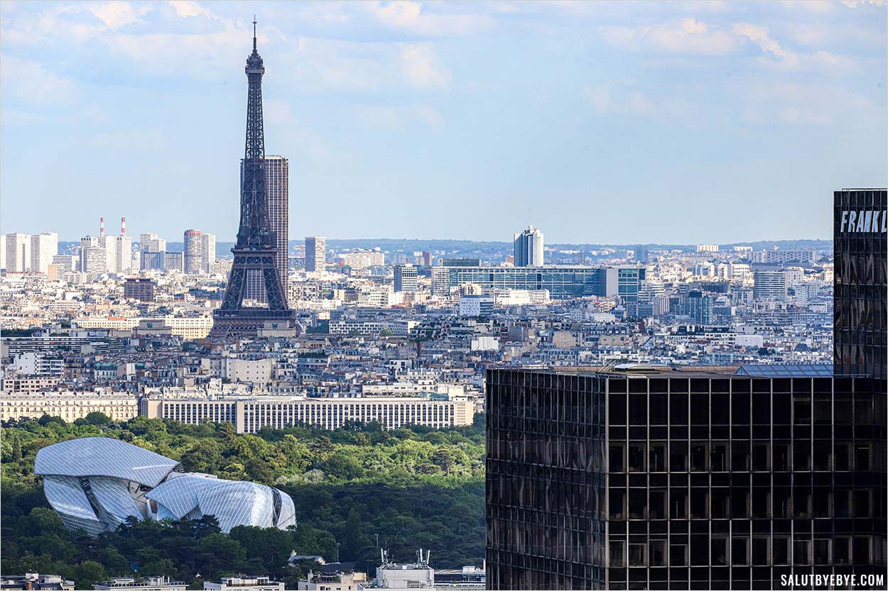 Les toits de la fondation Vuitton dans le Bois de Boulogne