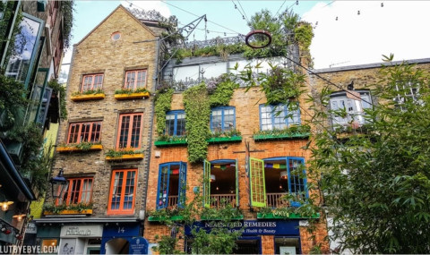 Neal’s Yard in London: What to See, Where to Eat & Visiting Tips