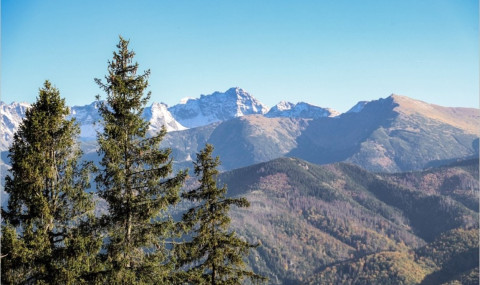 Visiter Zakopane en Pologne : que faire dans cette ville de montagne des Tatras ?