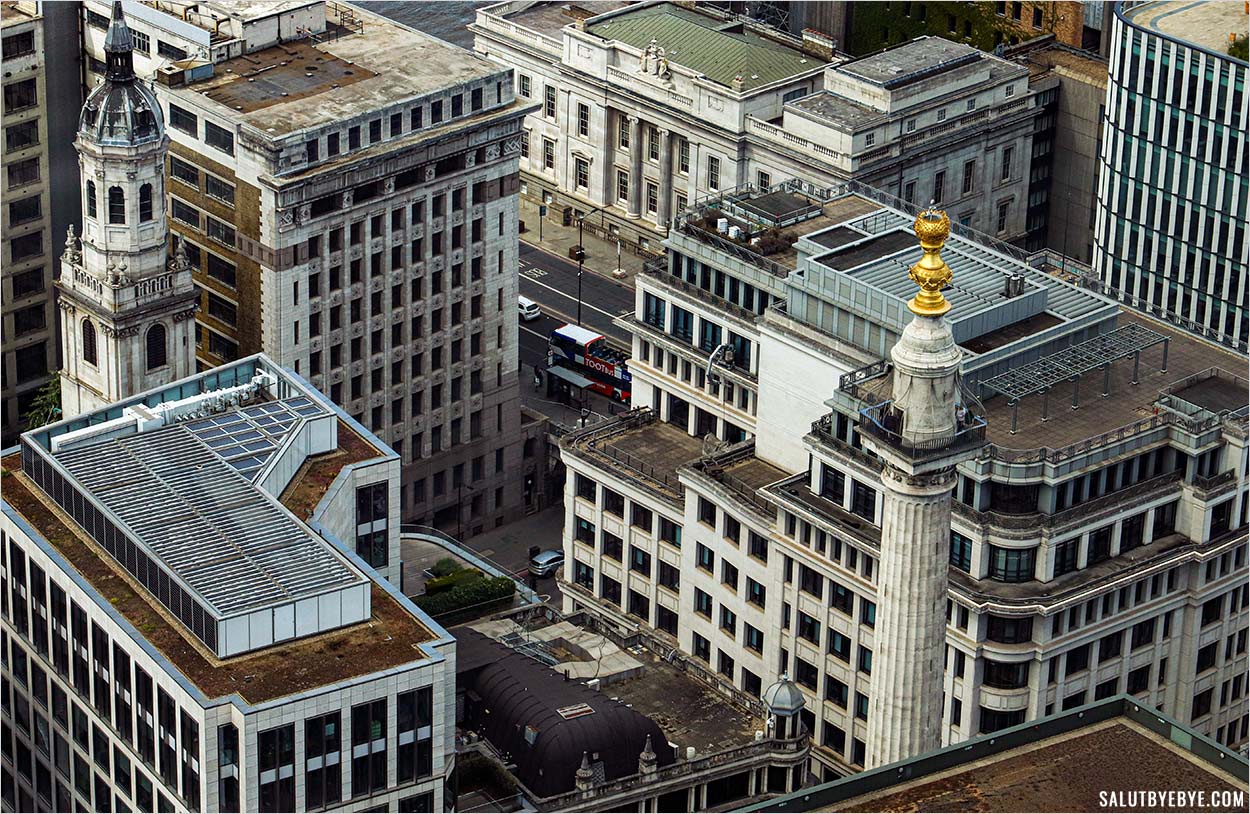 The Monument depuis le Sky Garden