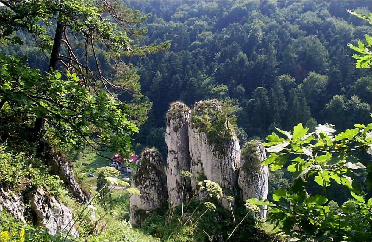 Parc national d'Ojcow en Pologne