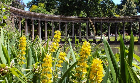 Visiter le Parc Monceau à Paris : que voir et que faire ?