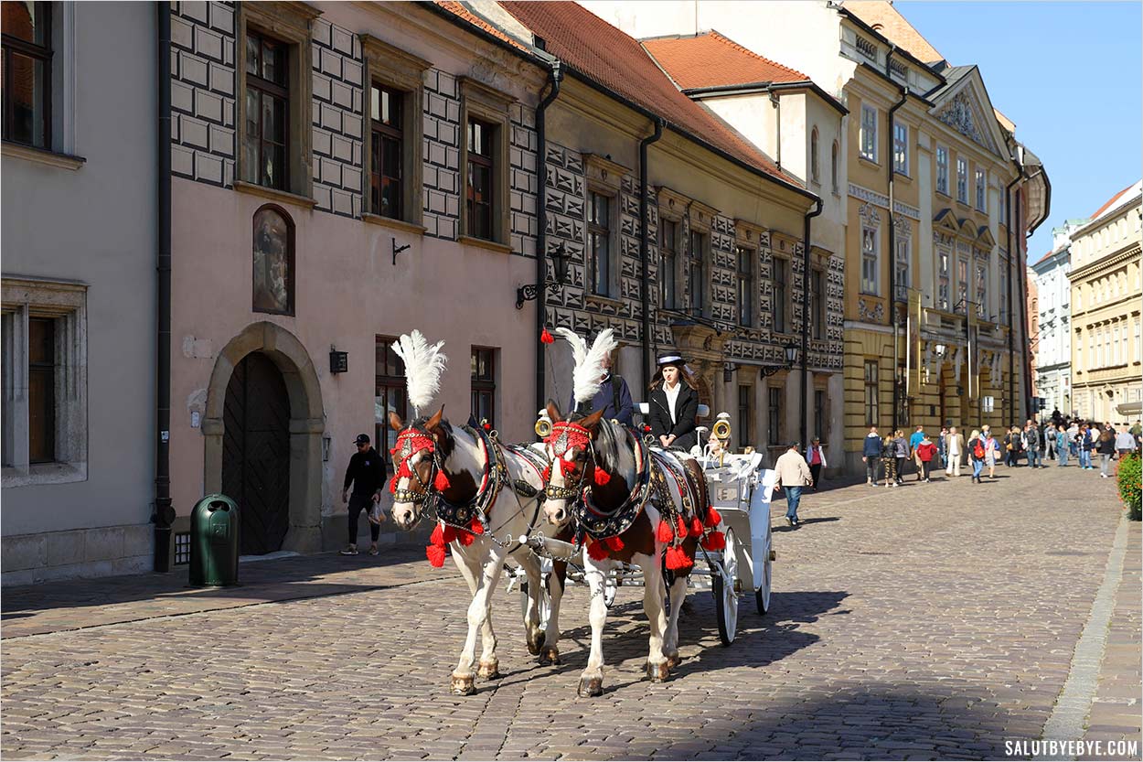 Calèche dans la vieille ville de Cracovie