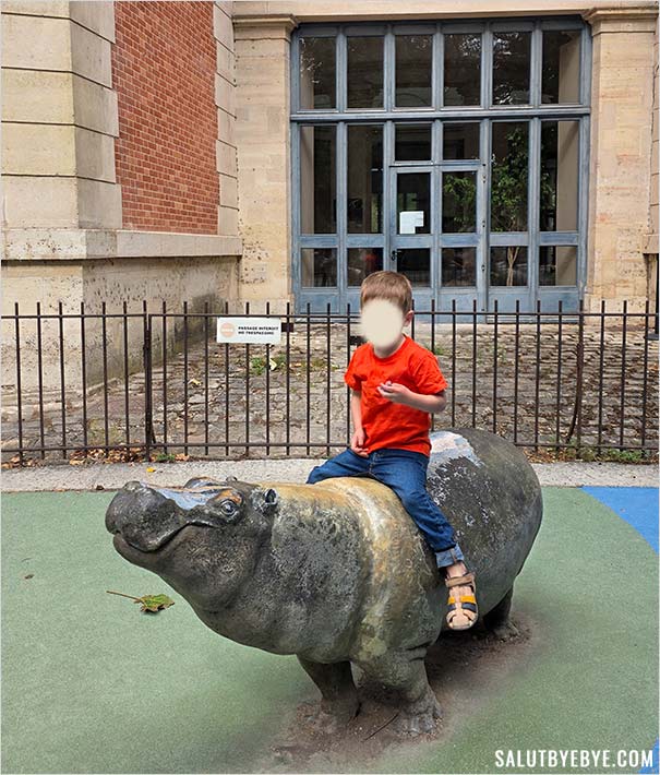 Visiter la Ménagerie du Jardin des Plantes avec un enfant - Les hippopotames